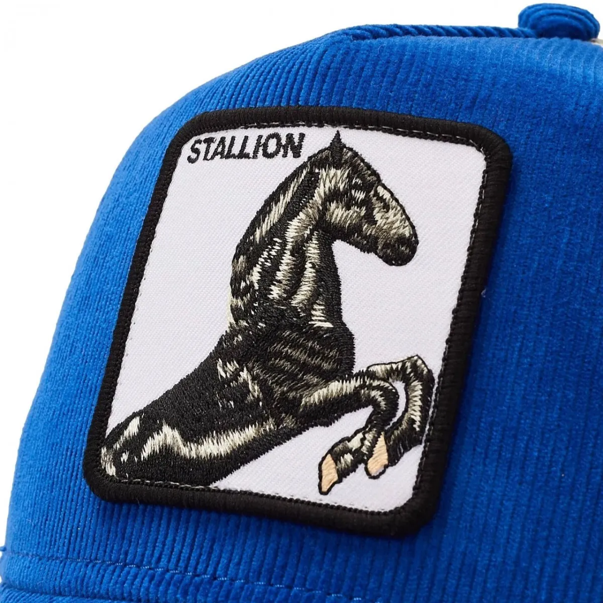 Cappello Da Baseball Stallion
